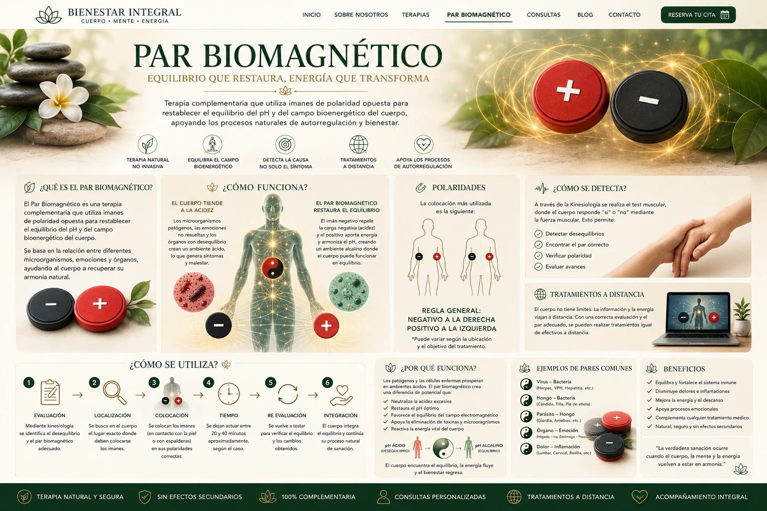 Infografía completa sobre par biomagnético, polaridades, kinesiología y tratamientos a distancia